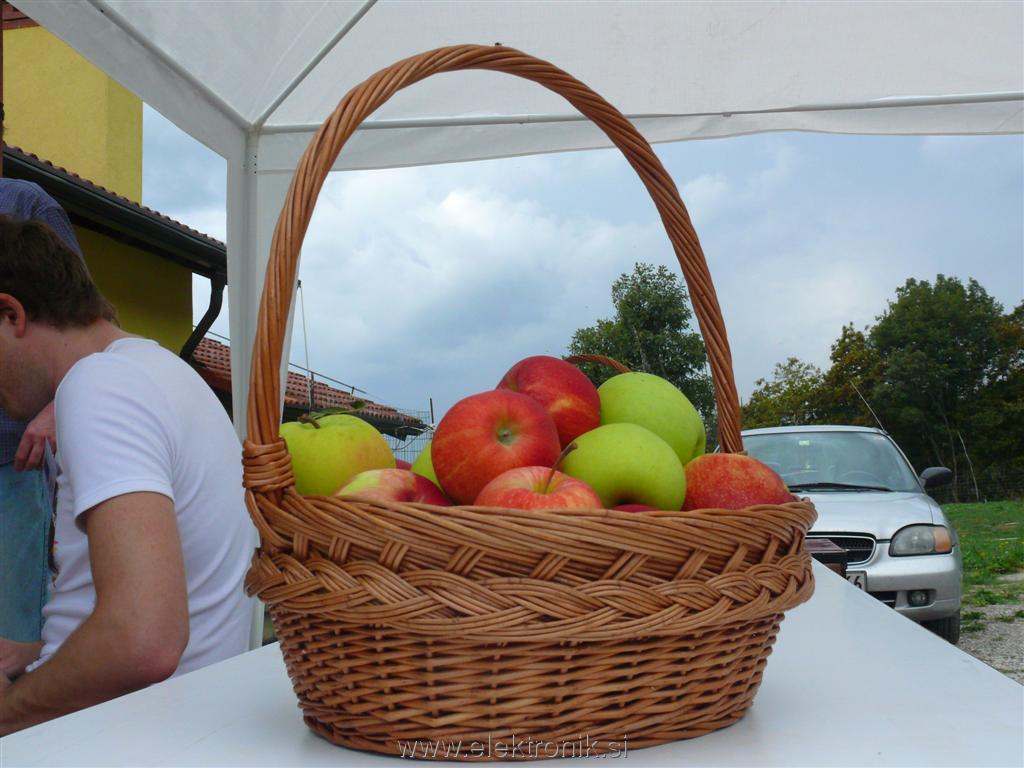 Domaa jabolka s sadjarske kmetije. Mljask!