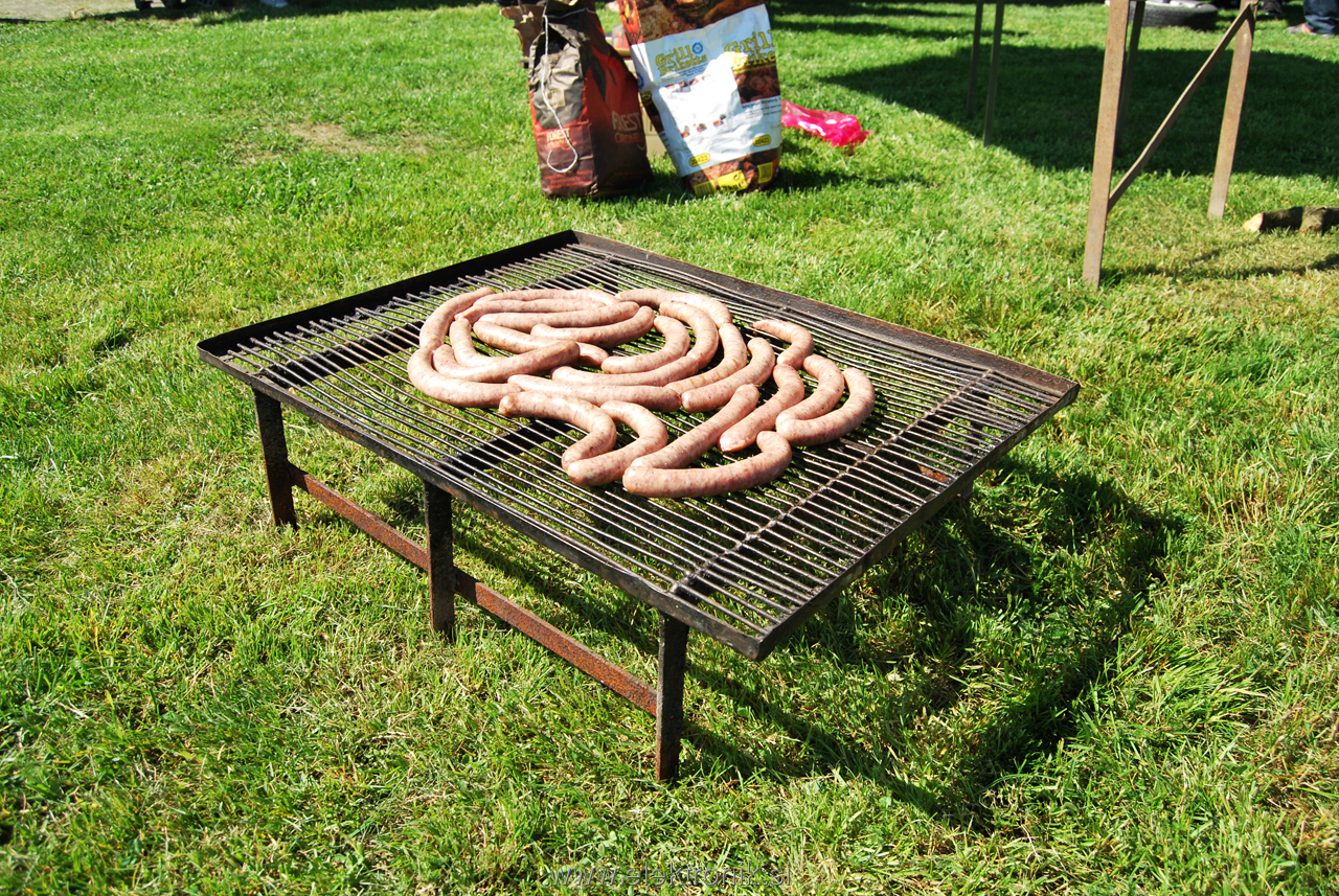 Piknik Sredie ob Dravi