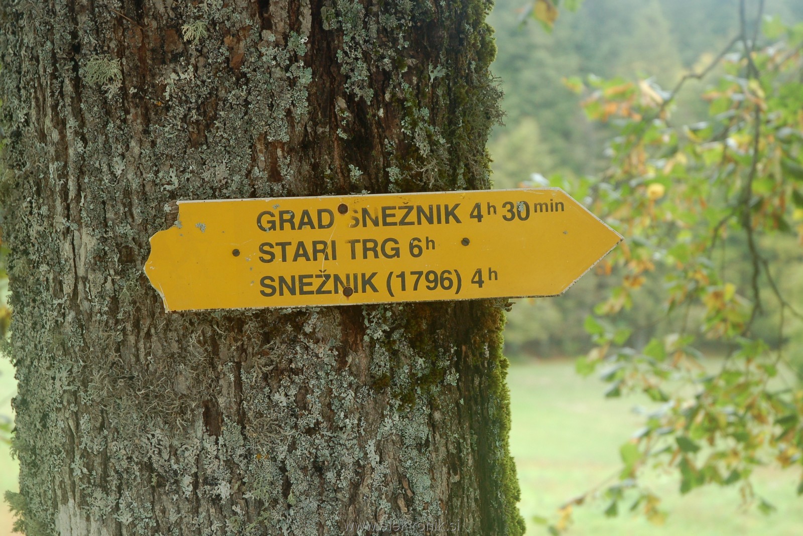 razdalje