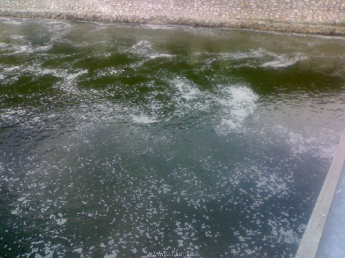 06072012554.jpg