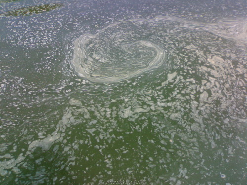 10072012556.jpg
