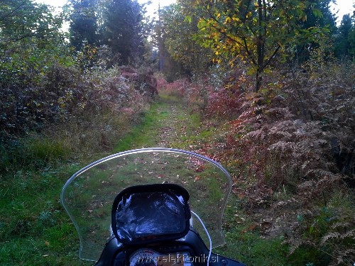 20141007_174142 (Custom).jpg