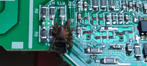 20240708_192836[1].jpg