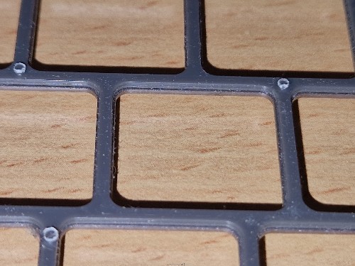 20250306_145525.jpg