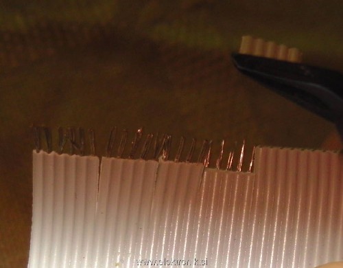 BILD0529.jpg
