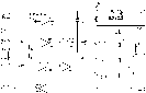 CS34.gif