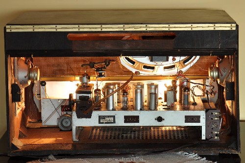 D_Wega_302_back01.jpg