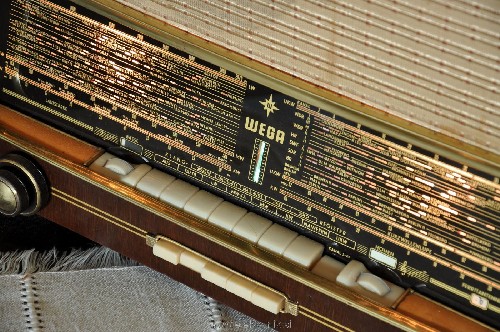 D_Wega_detail01.jpg