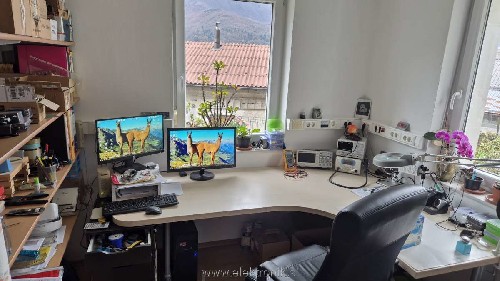 delavnica.jpg