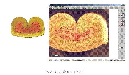 dober_in_slab_krimp.jpg