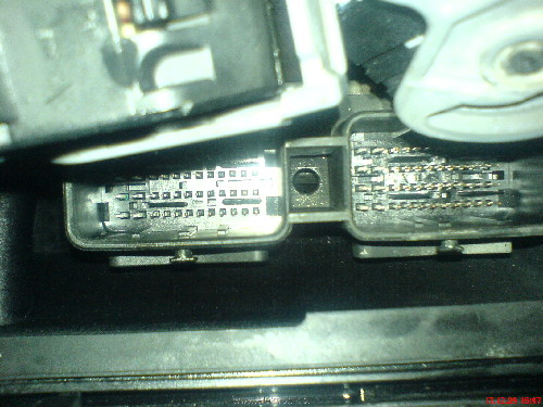DSC00561.JPG