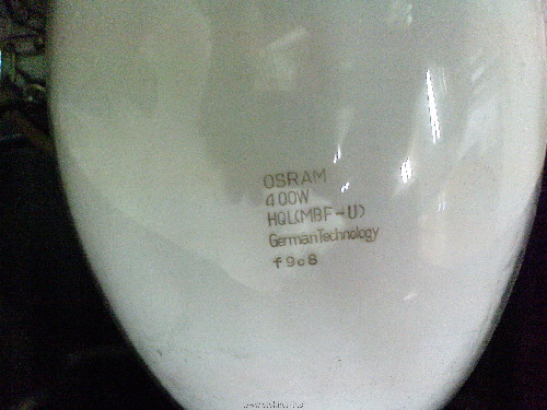 DSC00597.JPG