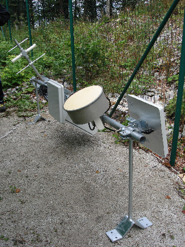 DSC07973.jpg
