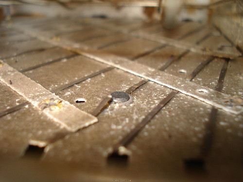DSC08475.JPG