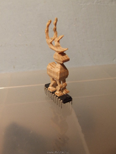 DSCF2050.JPG