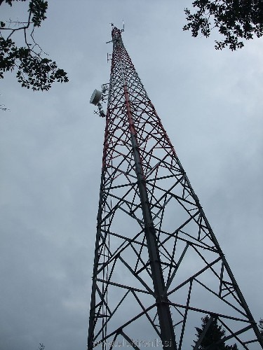 DSCF8312.jpg