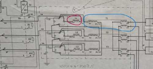 IMG_20250210_164433.jpg