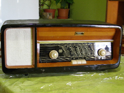 P1010003.JPG