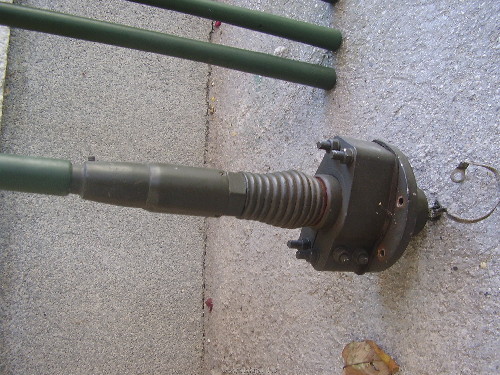 P1010004.JPG