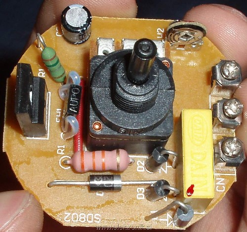 P7018643c.JPG