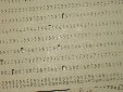 Pa170086.jpg