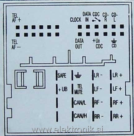 RCD300 pinout.jpg