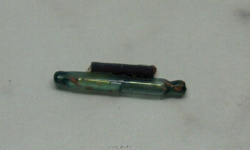 reed1.JPG
