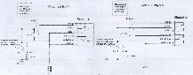 scan0003-.jpg