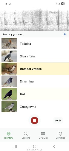 Screenshot_20260411_151224_Merlin Bird ID.jpg