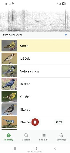 Screenshot_20260411_151351_Merlin Bird ID.jpg