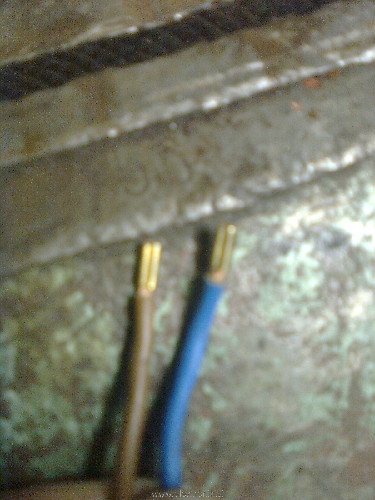 Slika1194.jpg