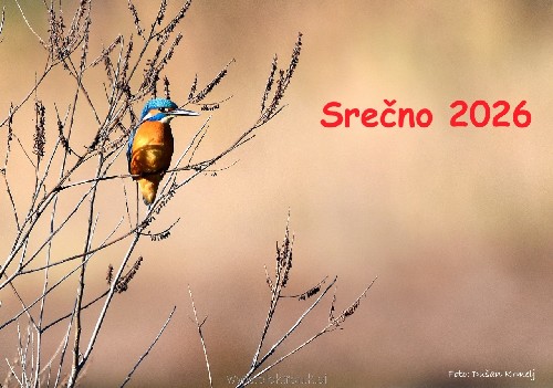 Srecno_2026.jpg